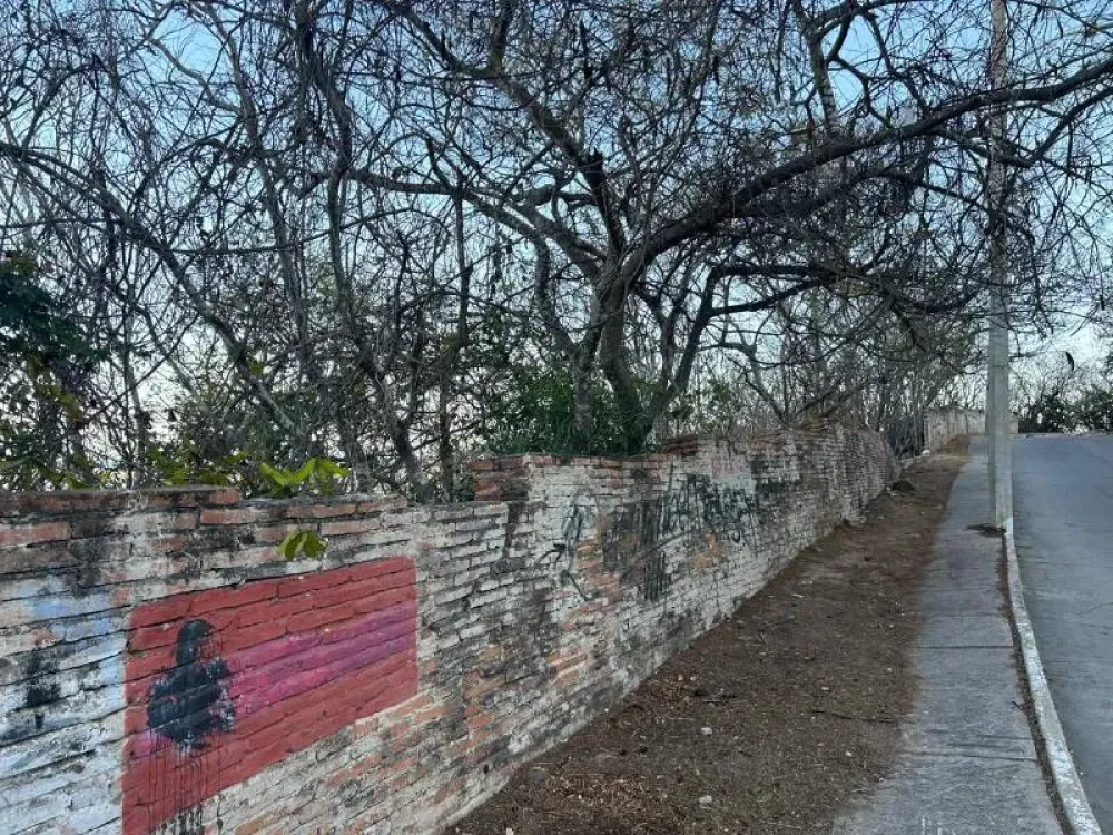 TERRENO EN EL CERRO DEL VIGIA